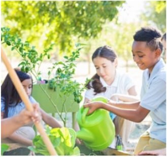 The Texas A&M AgriLife Extension is offering a mid-summer conference featuring lessons learned from the garden at Stephens Elementary School. (Texas A&M AgriLife Extension)
